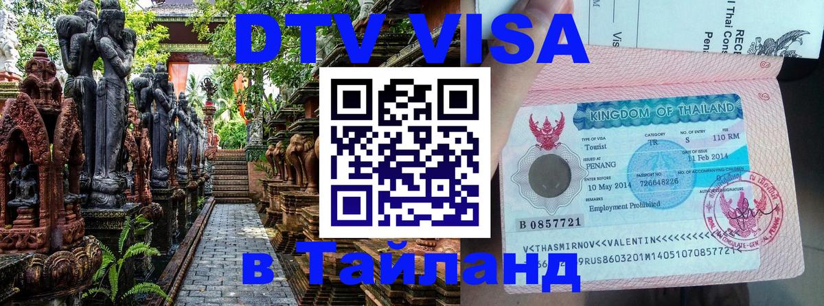 Сколько стоит DTV виза — актуальные цены, оформление даже без документов - 19.11.2025 